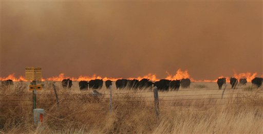 Texas Wildfire April 2011