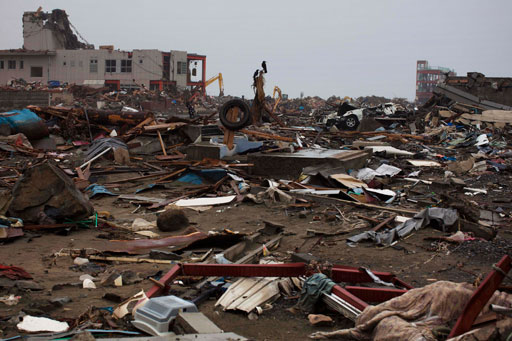 In this photo taken Saturday May 28, 2011, crows perch on the debris inside the obliterated town of Minamisanriku, Japan. Recovery from the March 11, 2011 tsunami is only inching along in the hardest-hit towns. Many survivors remain in limbo, gripped by deep fears and uncertainties that raise questions about Minamisanriku's future. (AP Photo/David Guttenfelder)