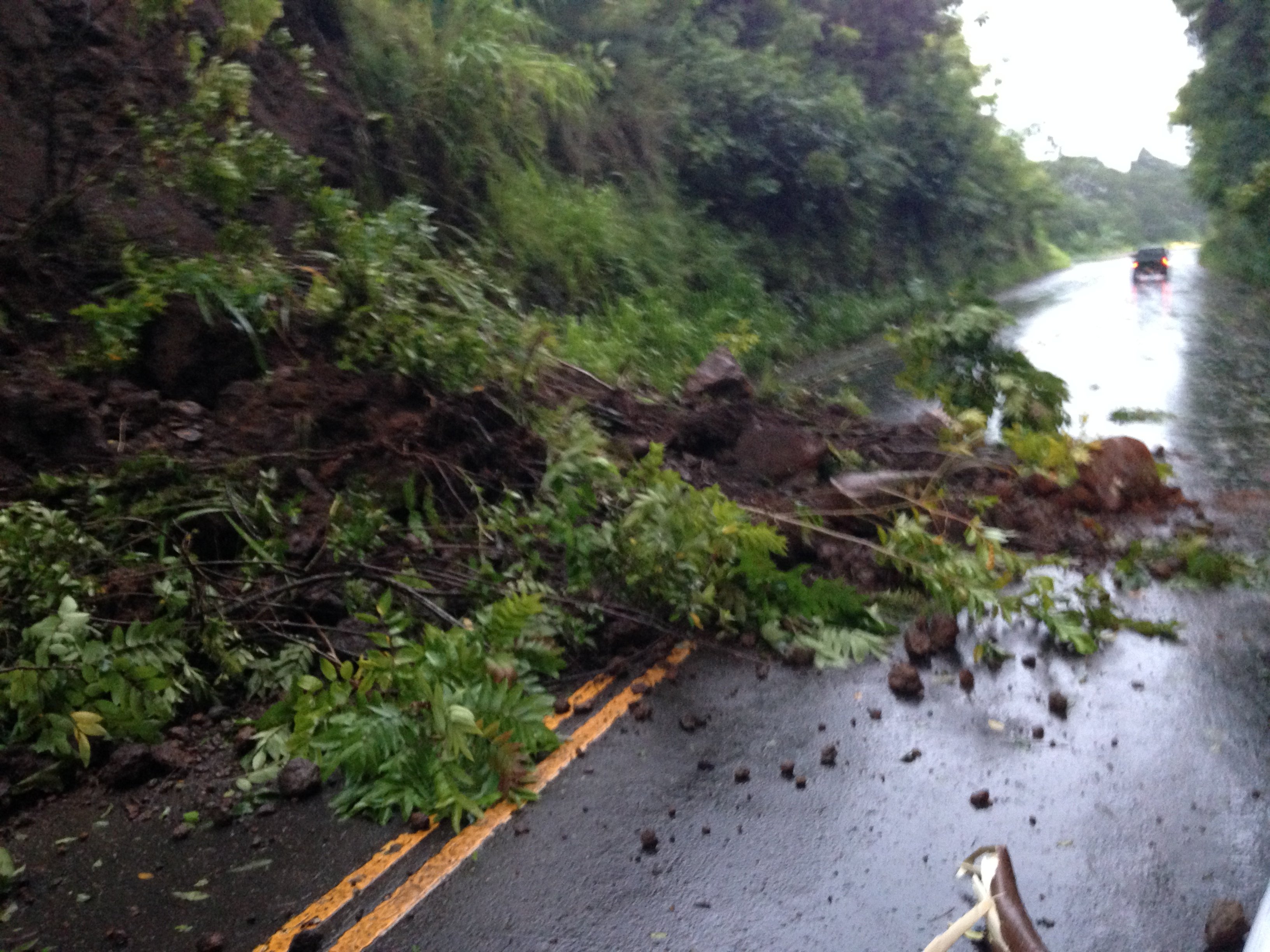 Hamakua mudslide