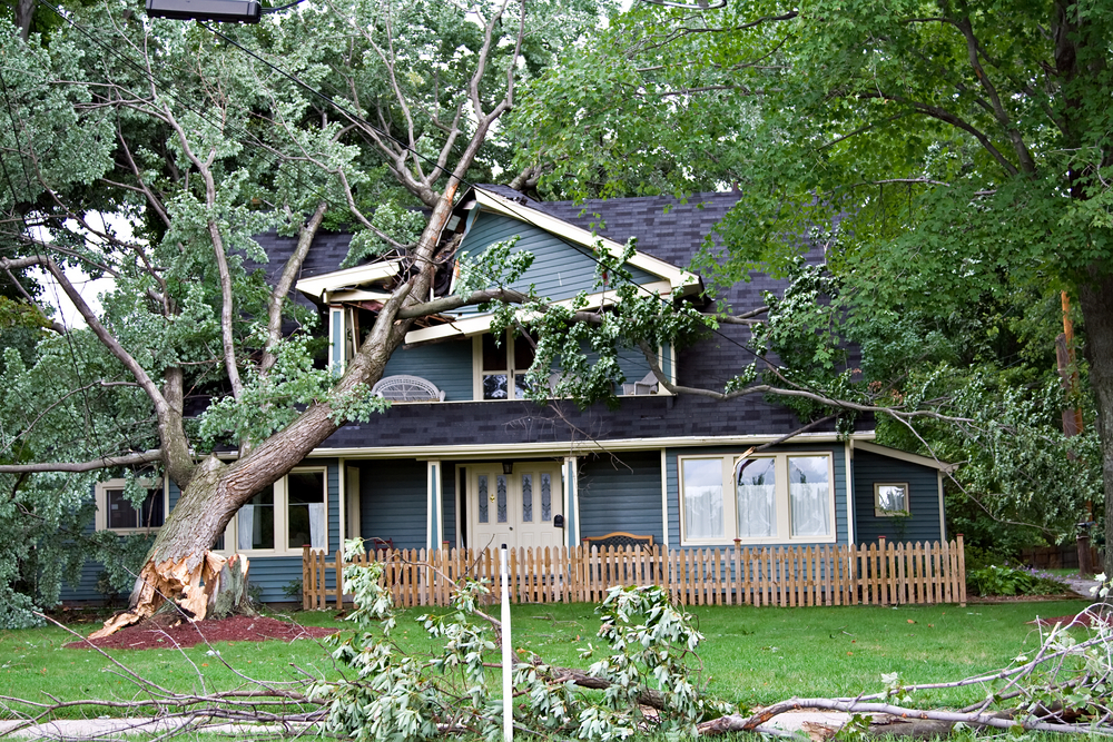 Damaged home