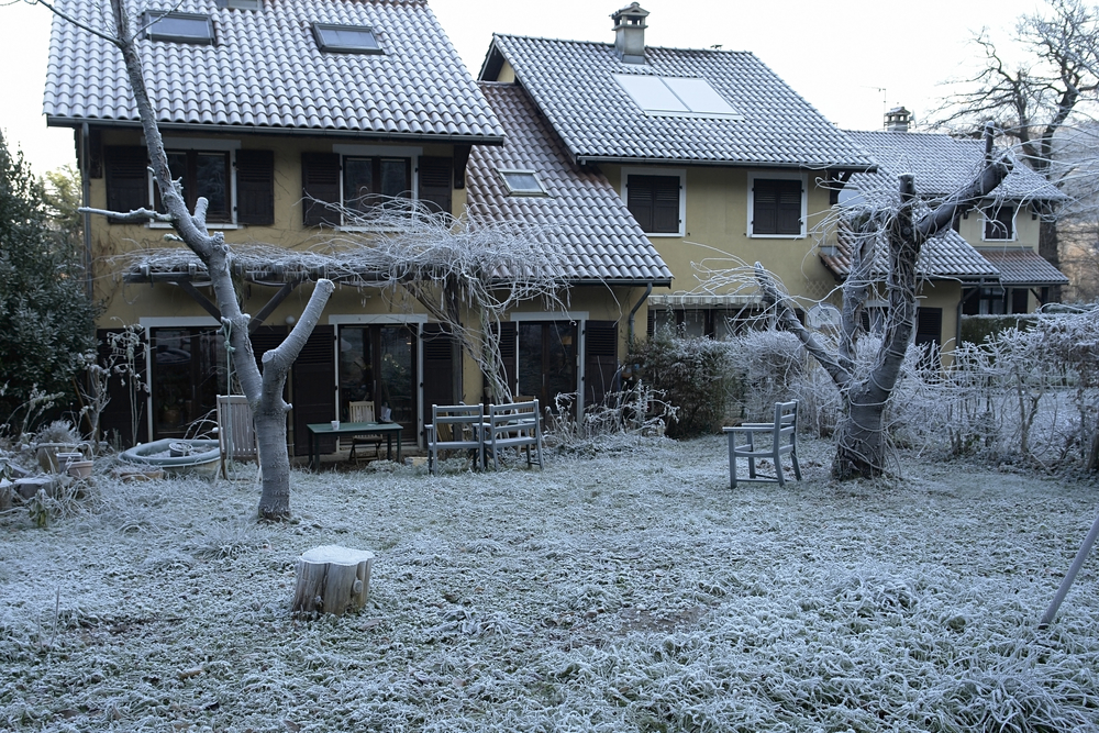 House with tree falling on roof