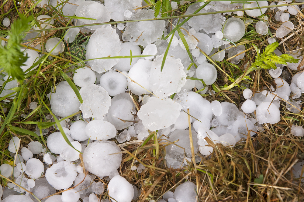 Hail stones