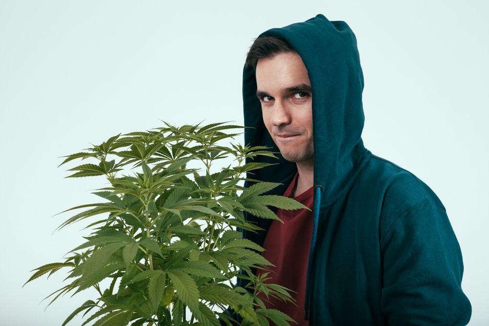 man holding a marijuana plant