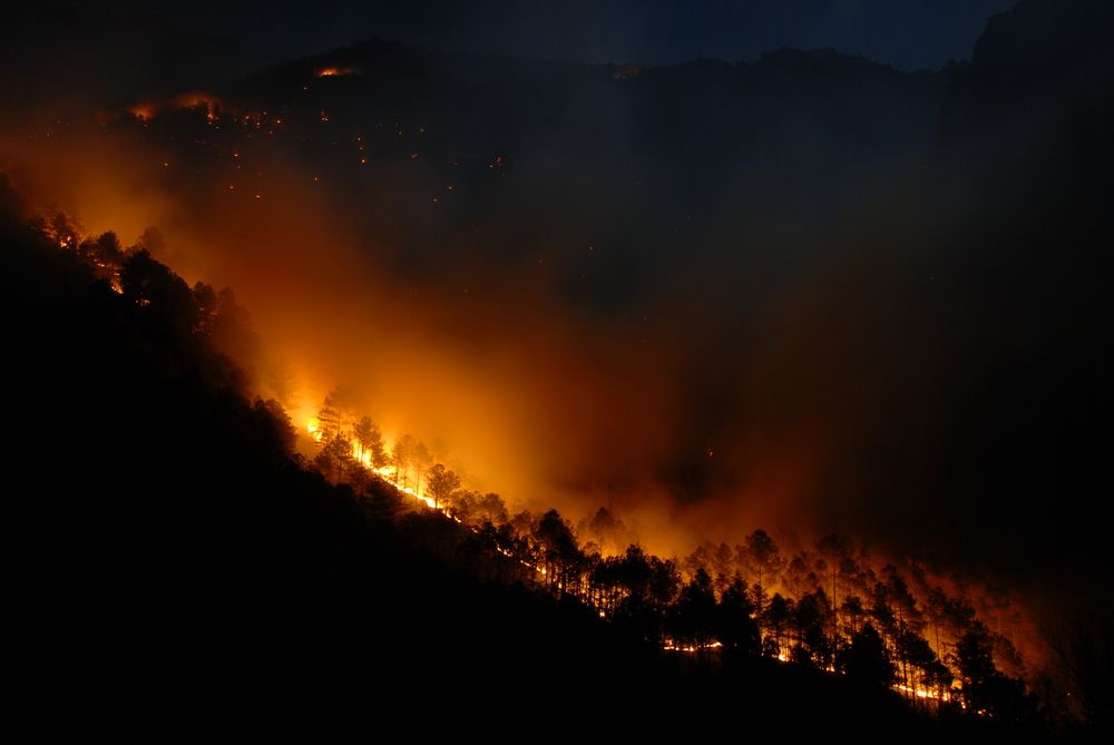 wildfire approaching at night