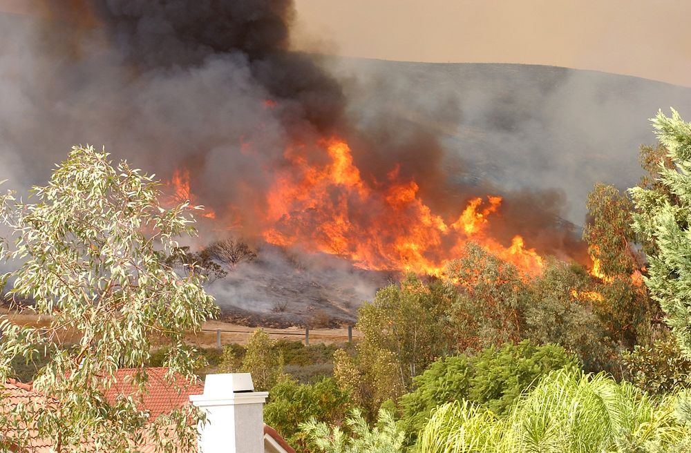 wildfire in distance