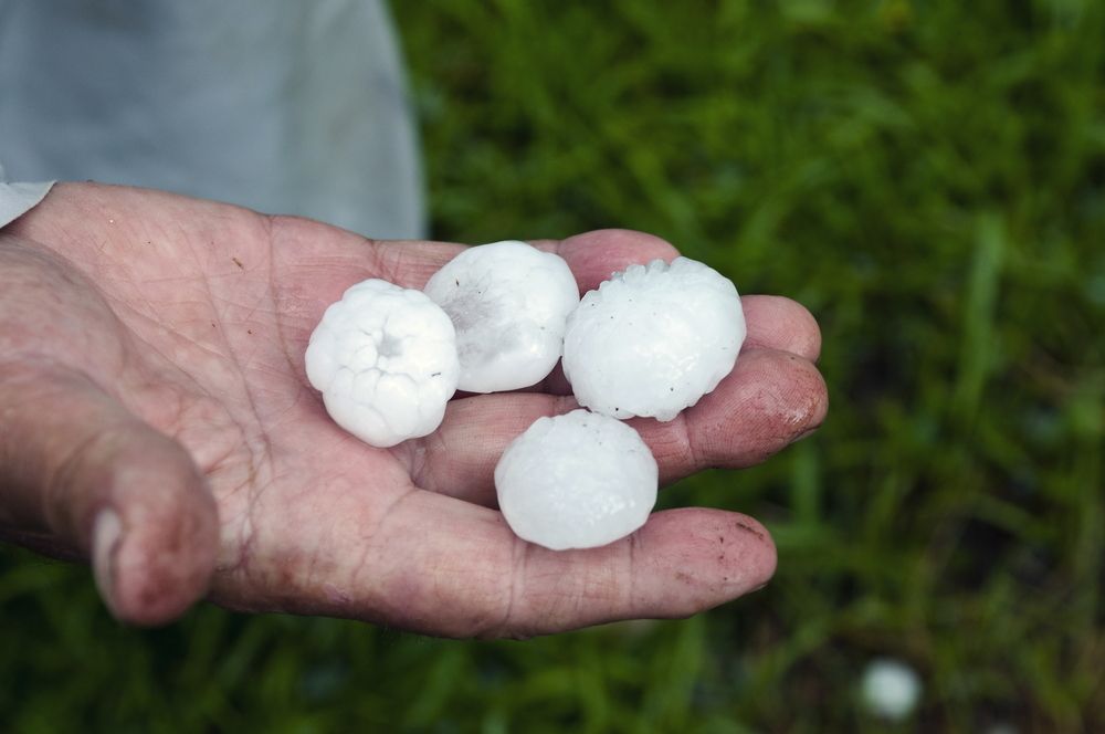 Hail stones in a man's hand