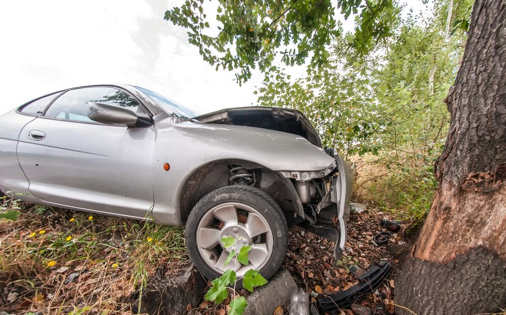 Car crashed into a big tree