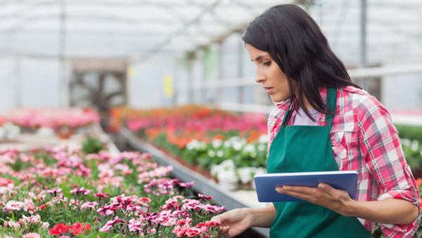 woman in greenhouse looking at flowers