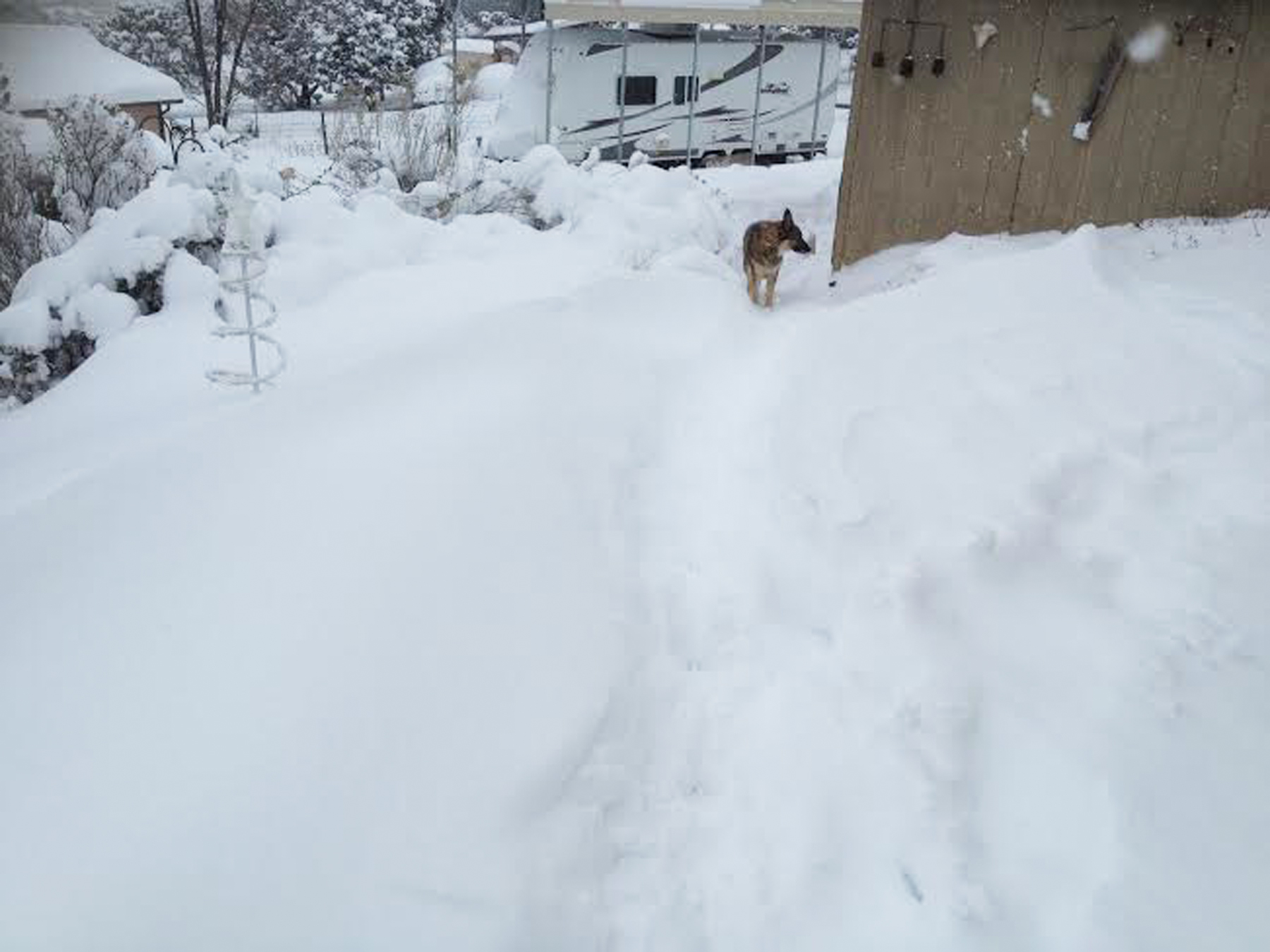 New Mexico snow