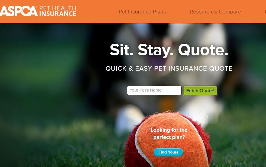 ASPCA pet insurance