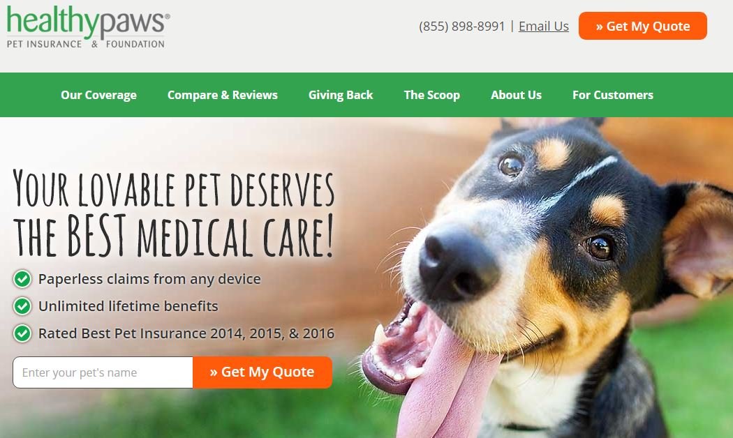 Healthy Paws Pet Insurance