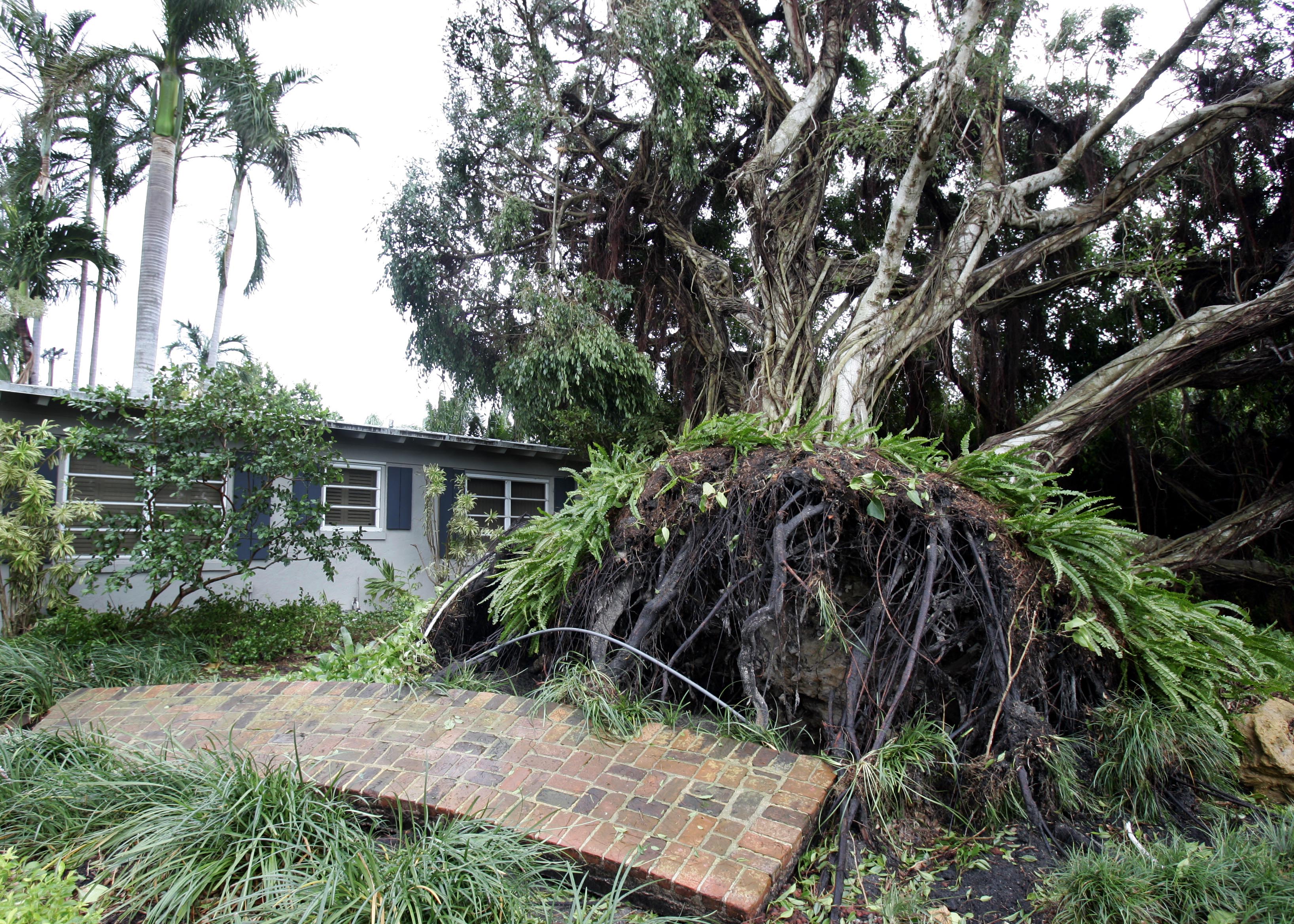 hurricane katrina financial impact