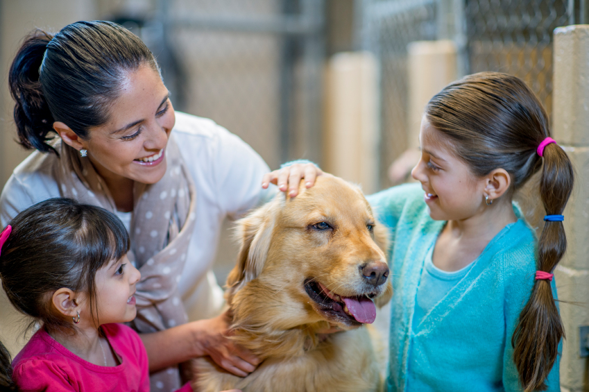 Dog with children