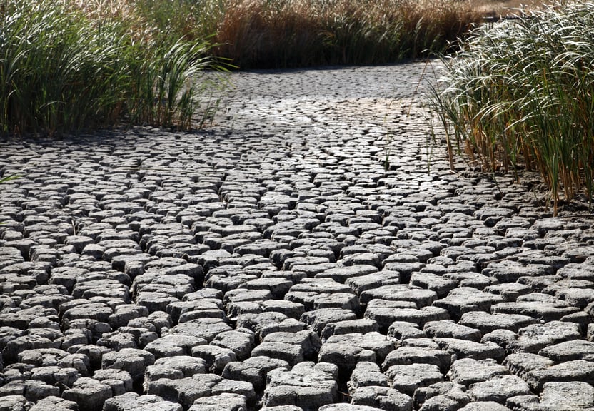 Dry riverbed