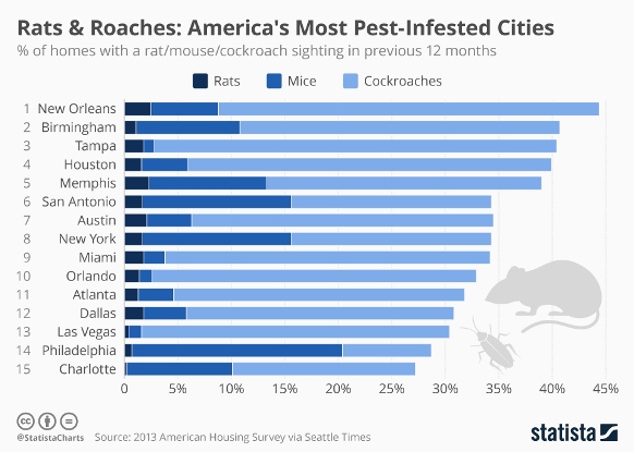 Chart: most pest-infested cities Statista