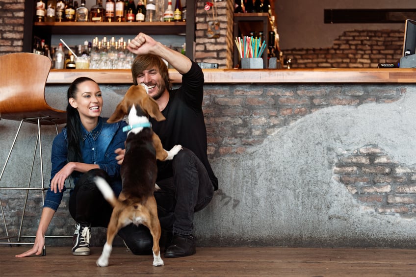 Dog at a brewery