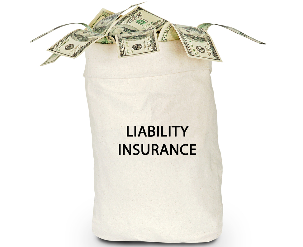 professional liability bag with money inside