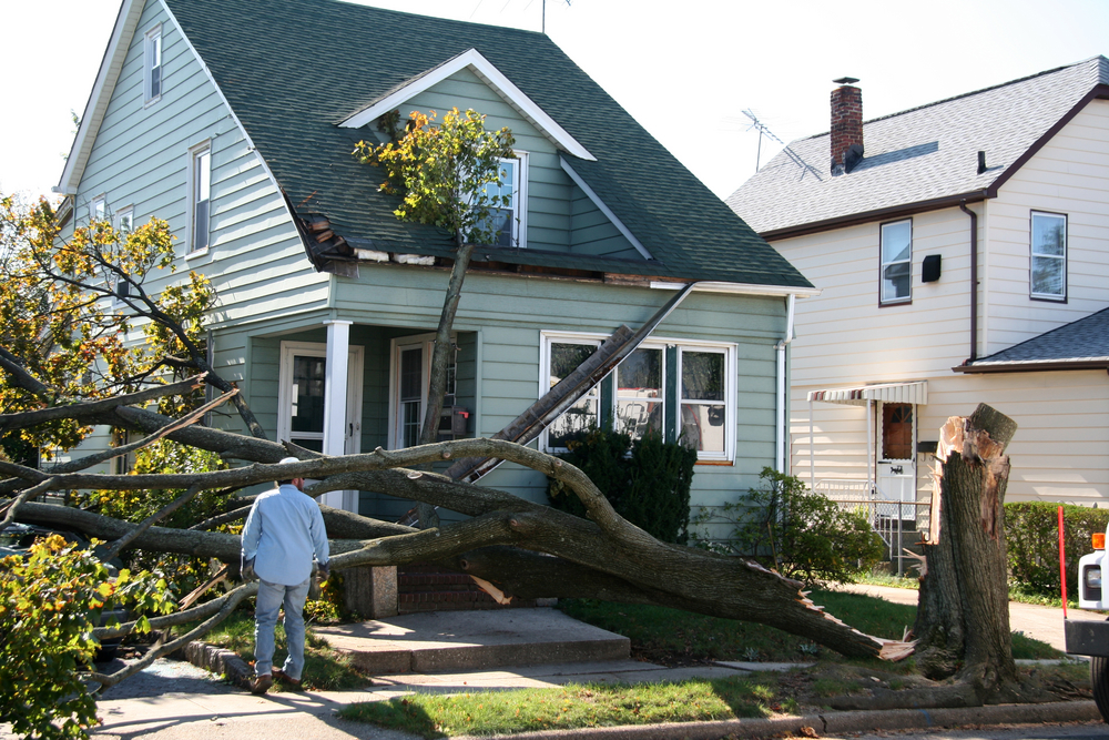 tree falling on house