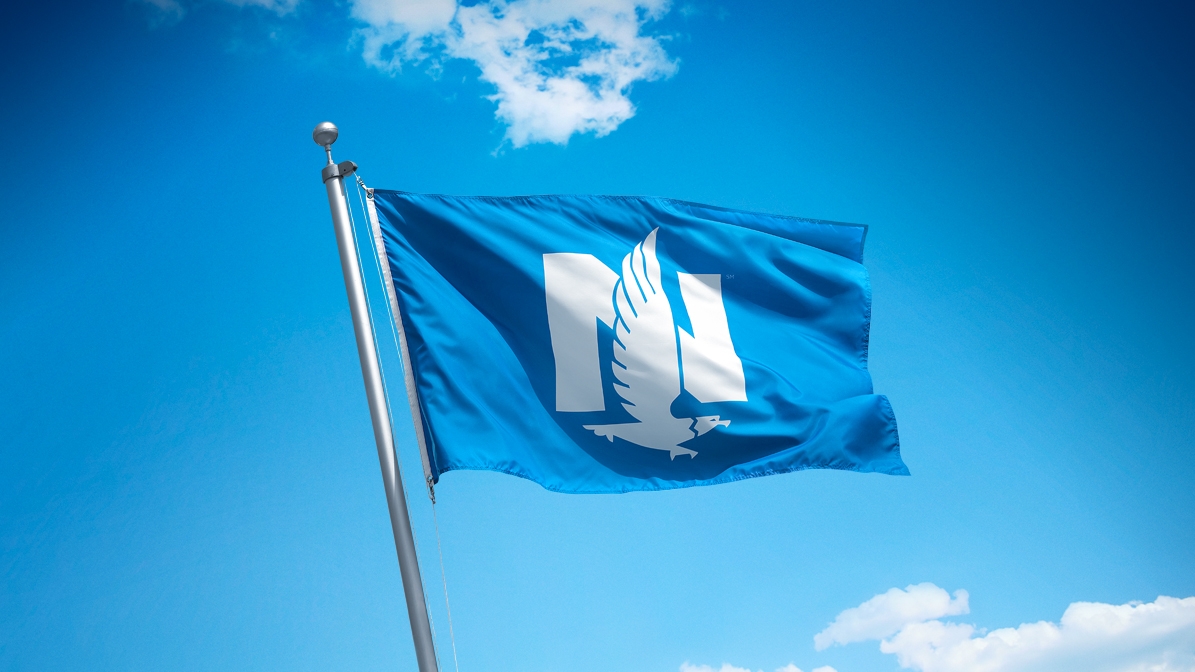 Nationwide insurance flag