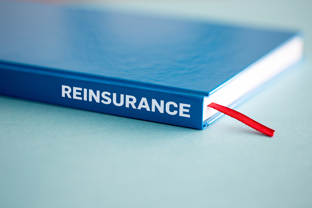 Book with reinsurance on spine