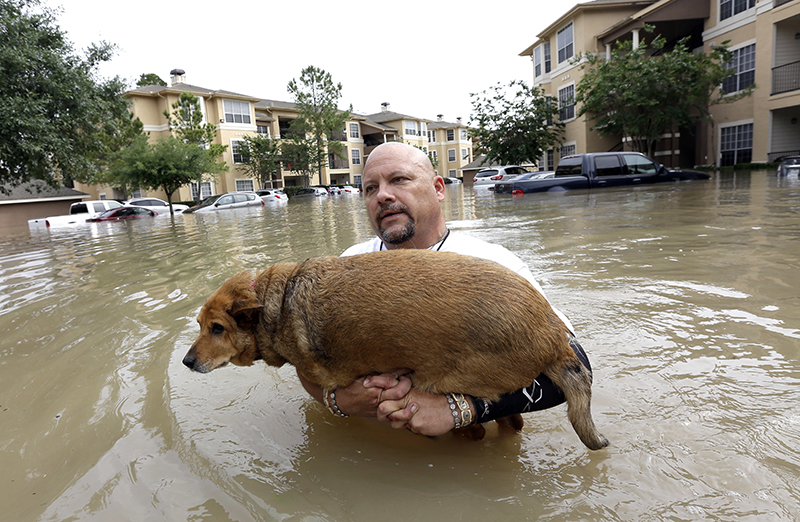 Man carrying dog in floodwaters Houston Texas