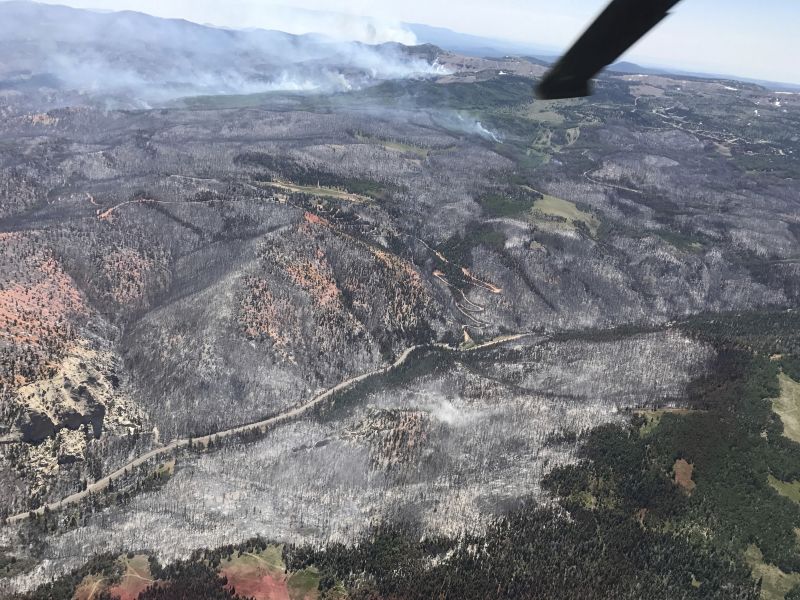 burnout area between Parowan and Brian Head, Uta