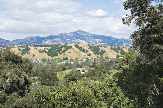 Walnut Creek, Cali