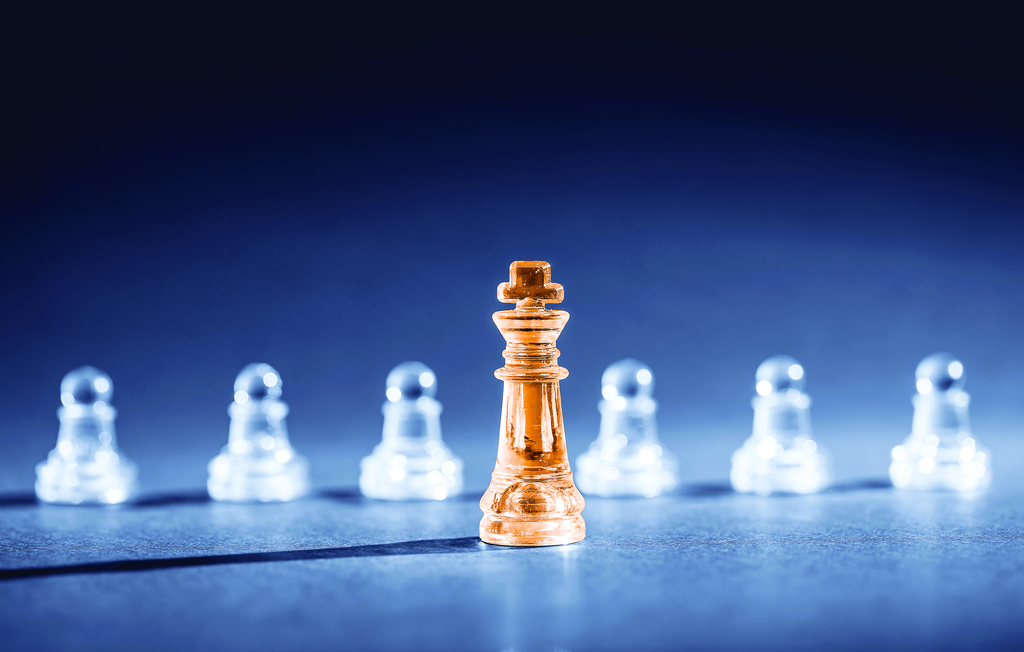 A king leads the board in chess