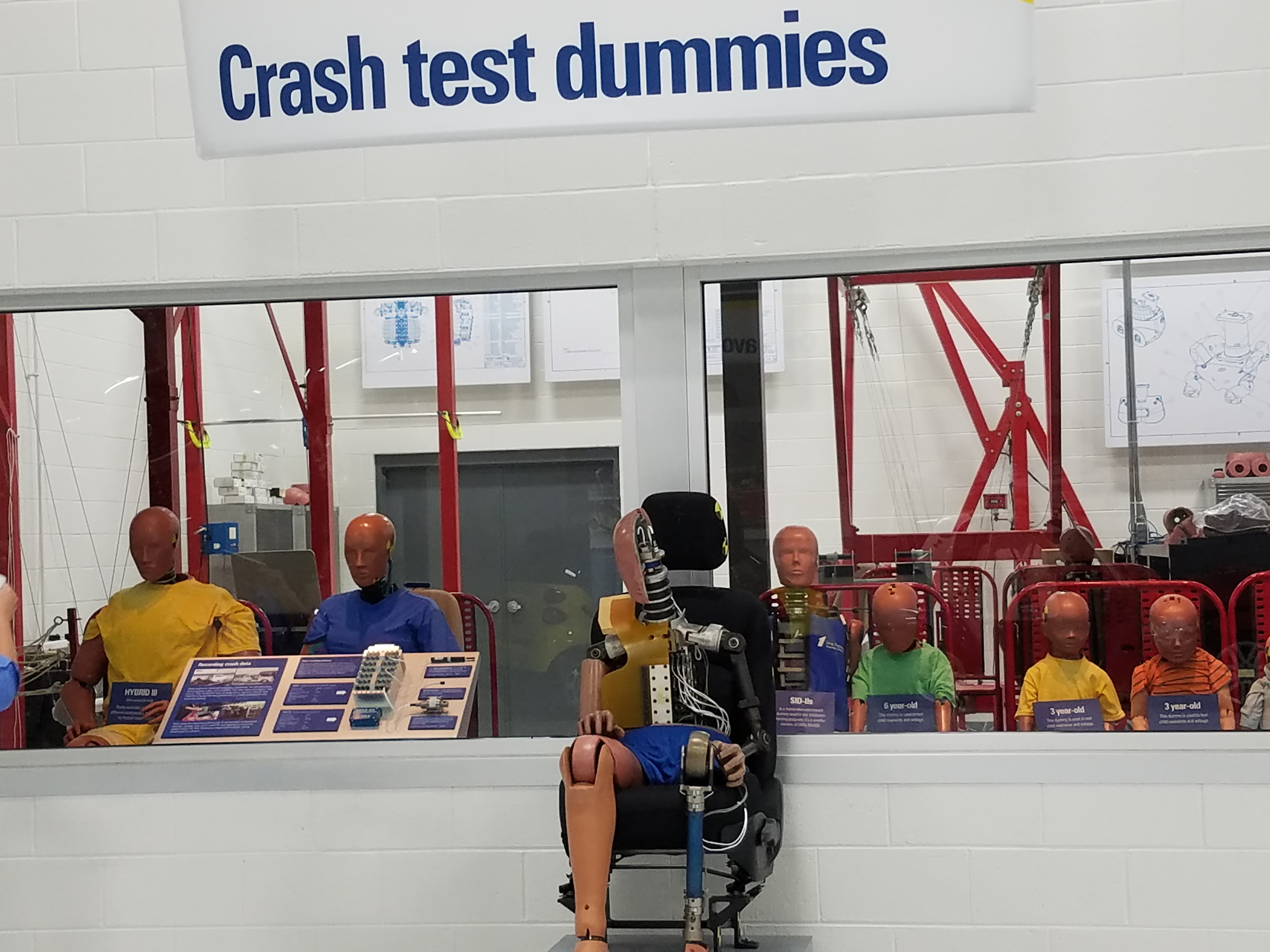 crash dummies