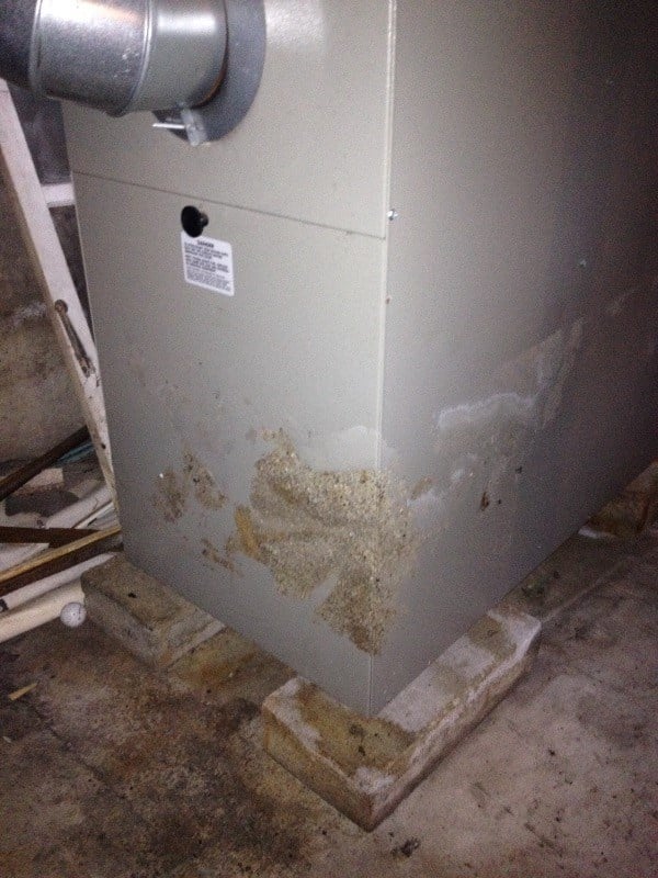 Water line on furnace shows water levels from Hurricane Harvey