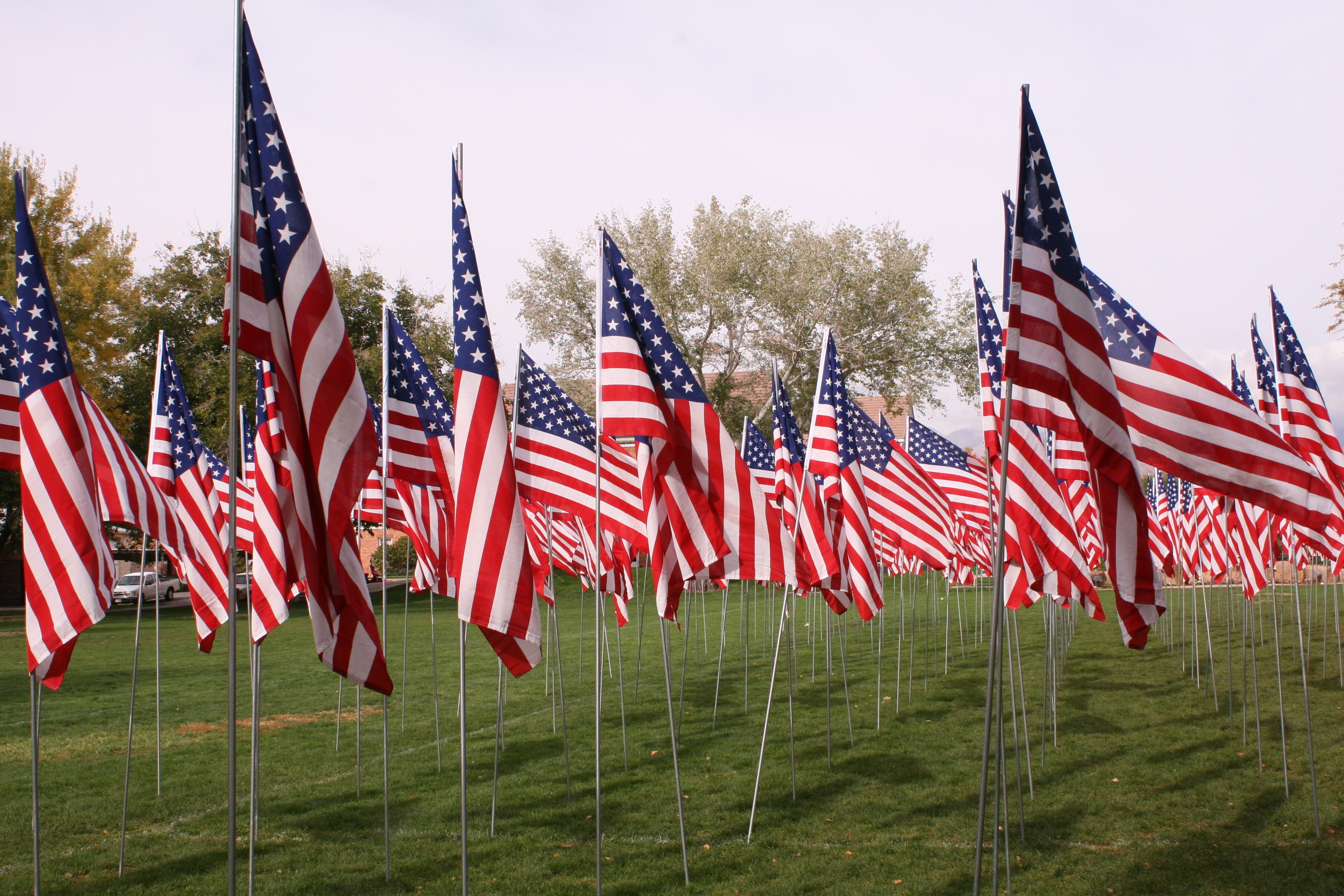 Independence Day flags