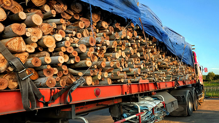 Side view of flatbed truck with logs