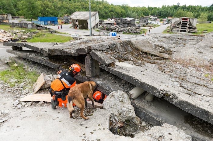 Earthquake damage