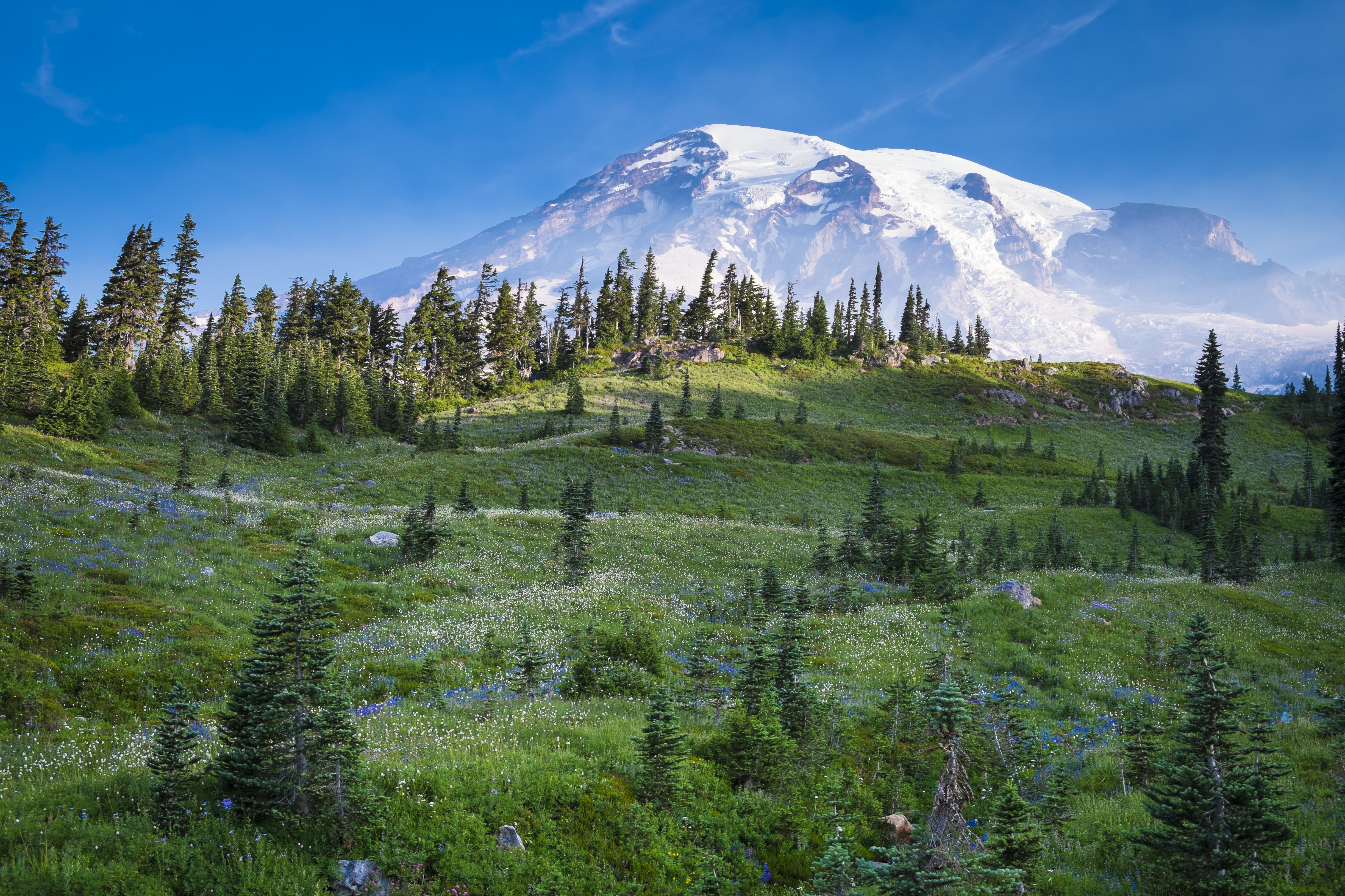 Washington state