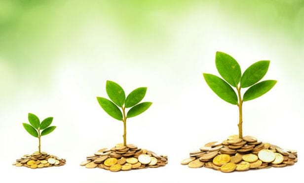 business growth