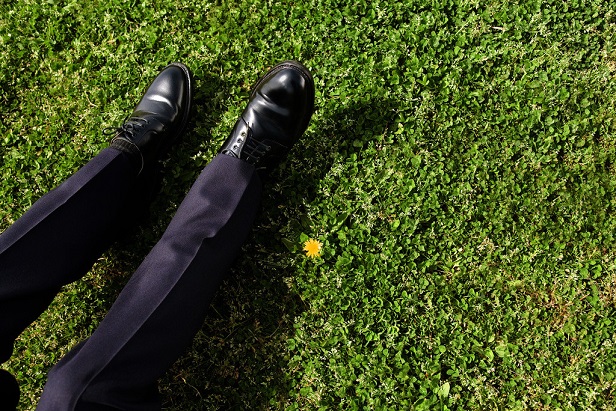 The insurance industry is keenly aware of the looming exodus of seasoned professionals who have reached retirement age.