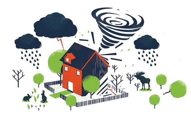 property damage