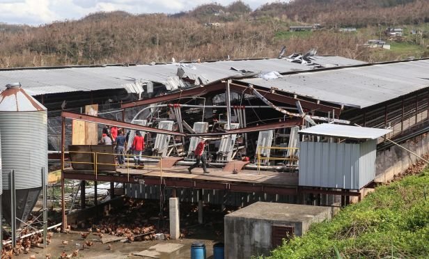 hurricane damaged business