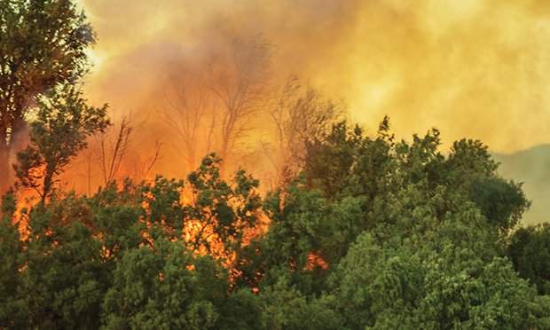 Mitigating wildfire risks.