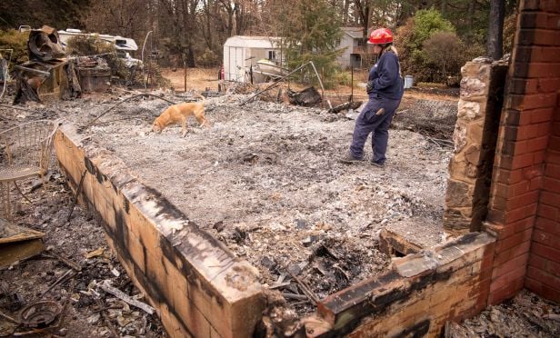 Remains of home burned by wildfire.