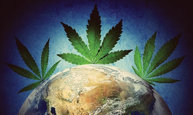 Cannabis laws.