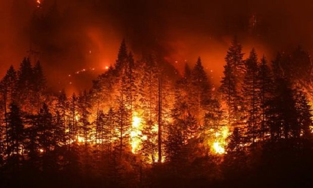Eagle Creek Wildfire in Columbia River Gorge, Ore. (Photo: Shutterstock)