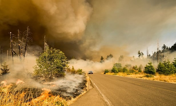 Wildfire on Big Fall Creek Road in Oregon.