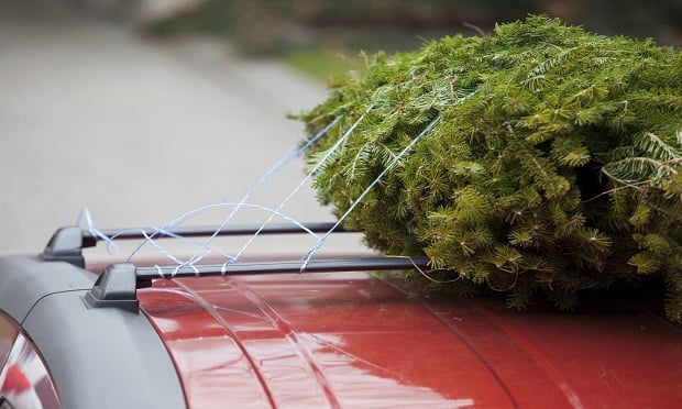 These tips will help drivers avoid claims while driving home with their Christmas tree. (Photo: Thinkstock)