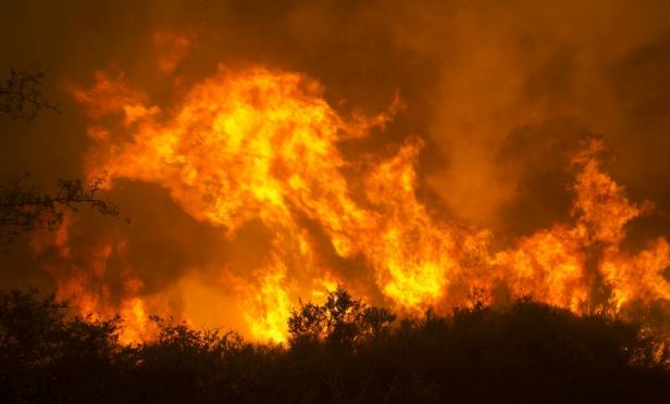 The summer of 2017 was unforgiving in California. More than 70% of Fire claims in the state were due to catastrophe, and severity also increased by 70%. The jump in severity was partly due to the many catastrophe claims that resulted in a total loss, as well as the prevalence of higher-value homes in Napa and Sonoma County.
