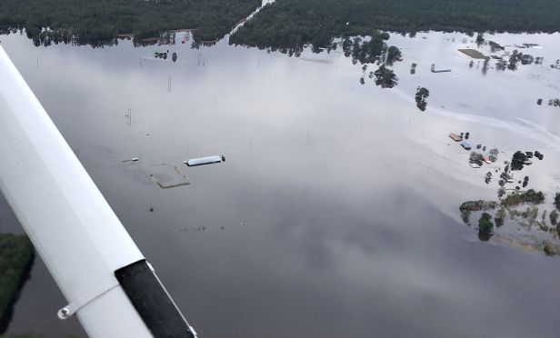 Flooded hog farm