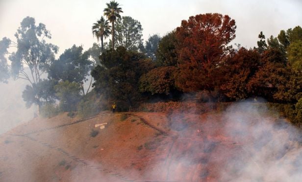 firefighter on hillside