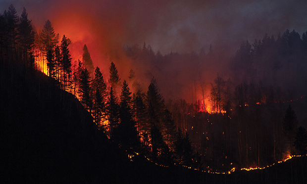Northern California wildfires.