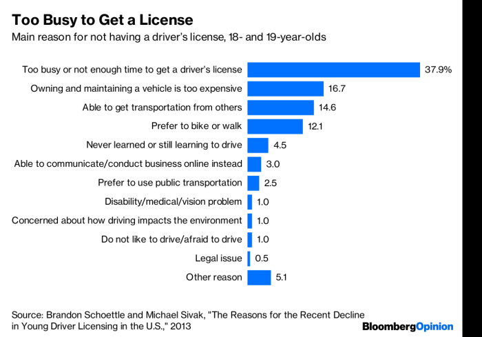 Too Busy to Get a License