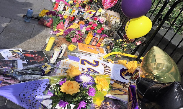 Kobe Bryant death: Pilot broke rules, to blame for crash, Basketball News